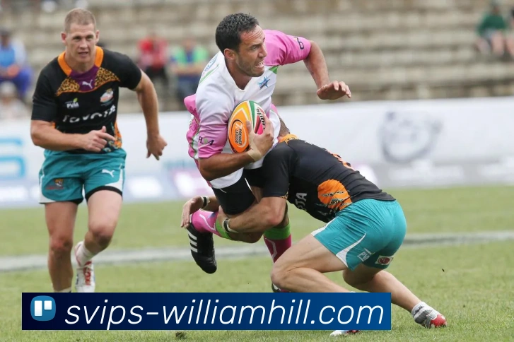 多媒体互动体验